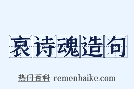 哀诗魂造句是什么意思的图片
